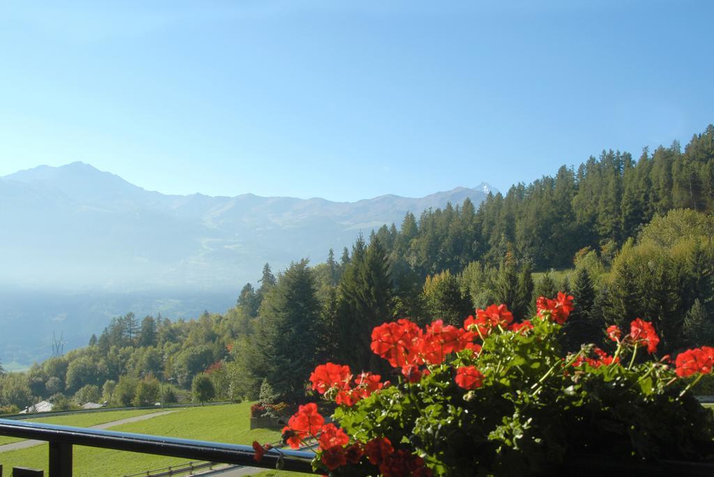 Agriturismo Plan D'Avie Aosta Zimmer foto